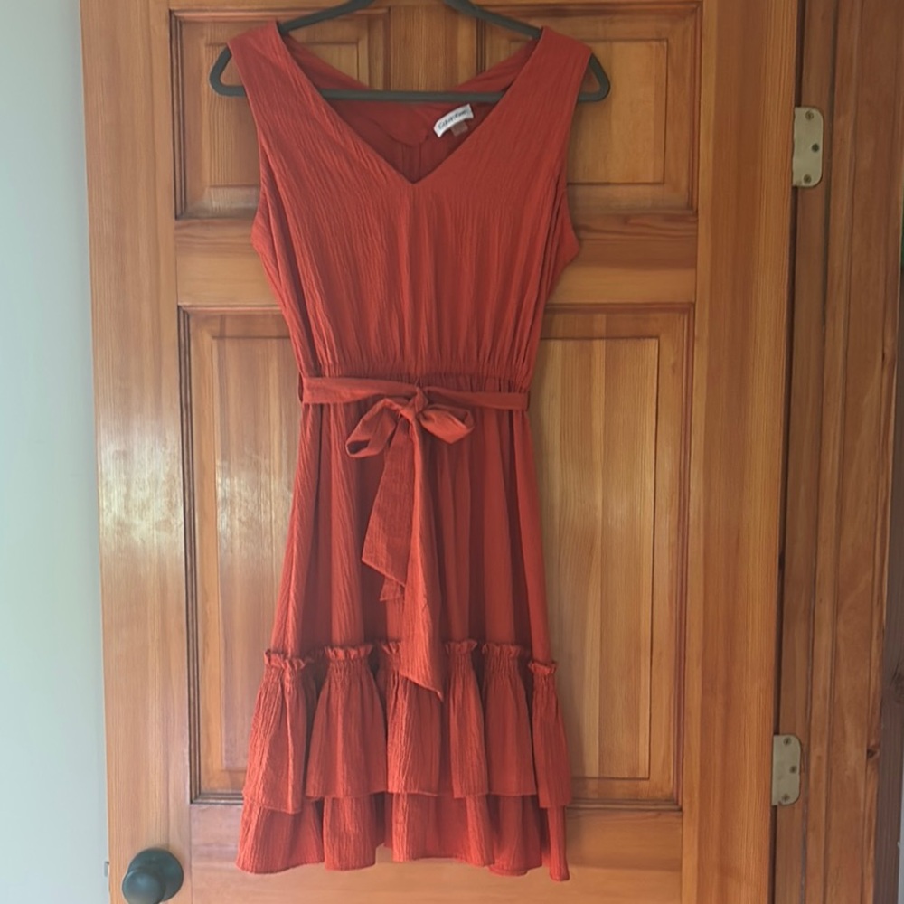 Calvin Klein Sleeveless V-Neck Ruffle Hem Dress in Rust